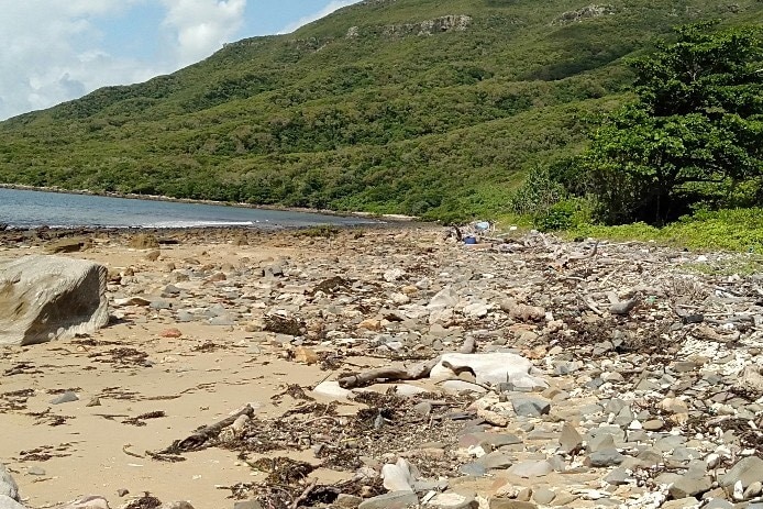 Remote FNQ beach