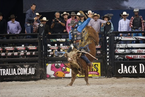 A rider on a bucking bull at a Brisbane rodeo.