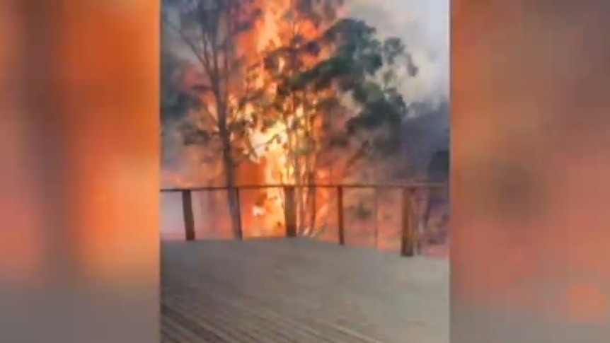 Still from a phone video showing a bushfire engulfing a tree near the balcony of a property at Tarbuck Bay.