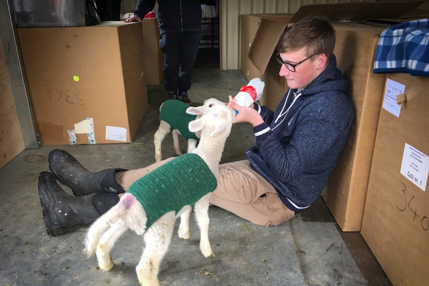 15 year old Rick Nutt helps at feeding time