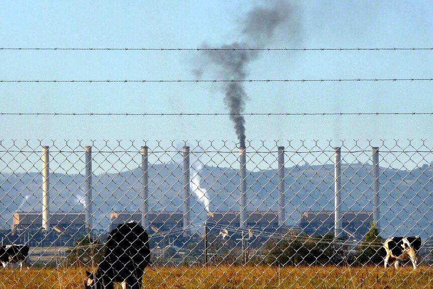 Smoke pours from one of the stacks at the Hazelwood Power Station, in the Latrobe Valley, 150 kilometres east of Melbourne.