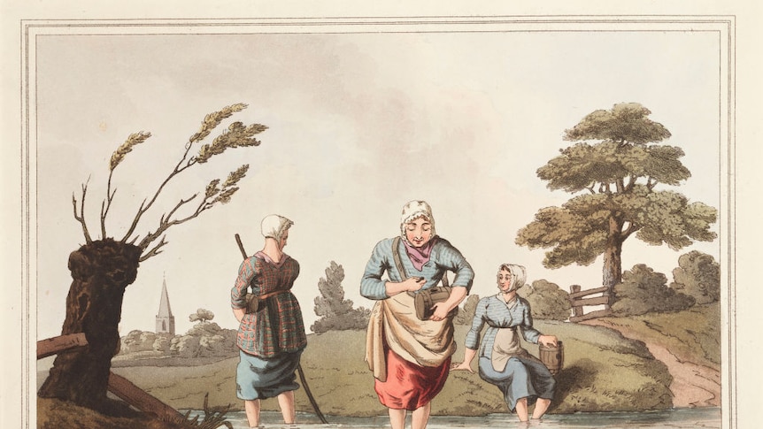 Picture of three women in 1814 collecting leeches for bloodletting
