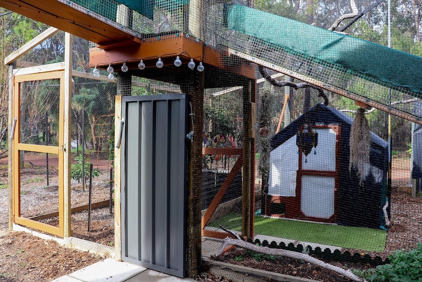 The exterior of a cat enclosure which is covered in netting and has a tunnel and cabins inside.