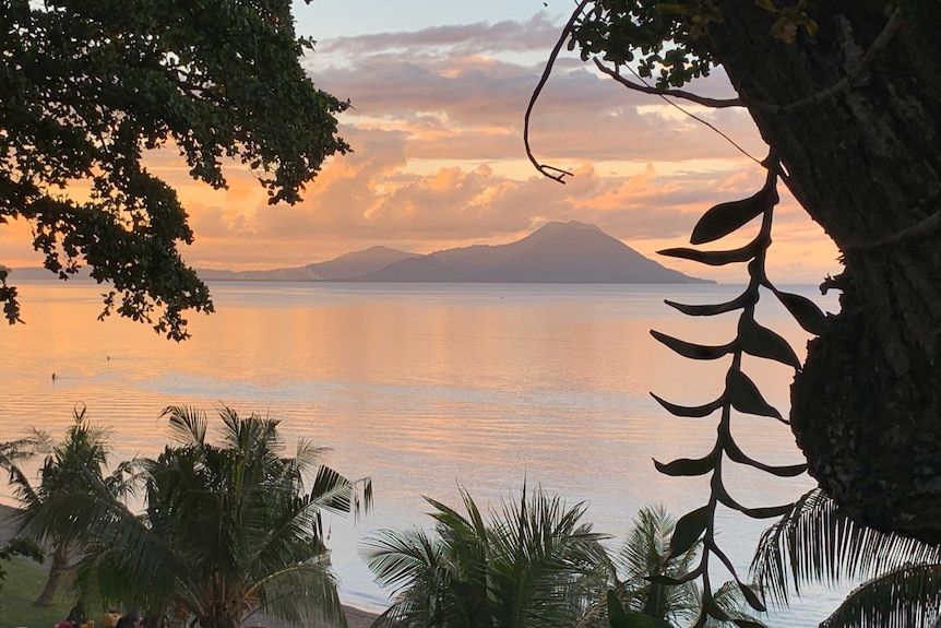 A sunset views shows trees in the foreground, the ocean and an island in the distance.