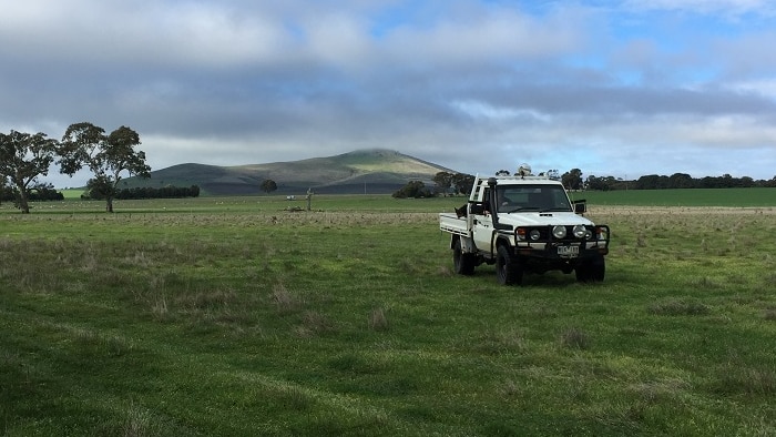 a ute drives through a grassy paddock, in the background there are rolling hills, some covered in clouds