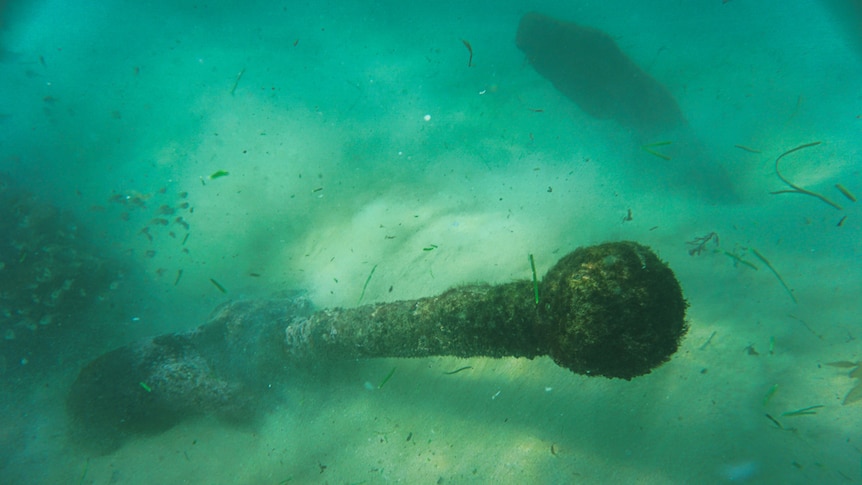 A long pole with a bell end that was part of the Brig Amy underwater and covered in moss.