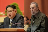 Composite photo of Kim Jong-un and Fidel Castro
