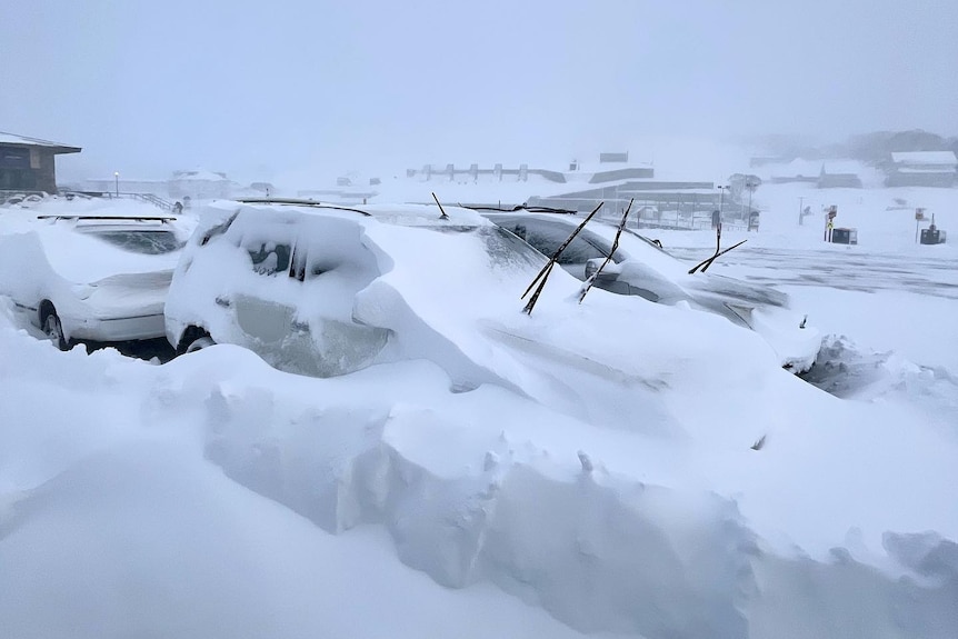 Vehicles covered in a layer of snow 