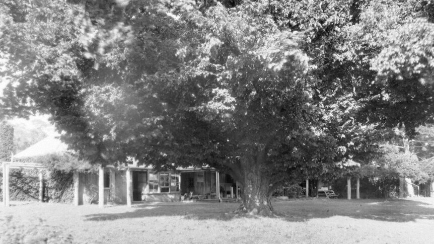 Black and white photo of the Belfield homestead at the property Eversleigh.