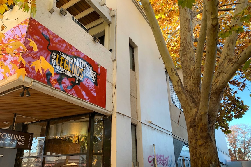 A tall tree with autumnal leaves stands next to a commercial building.