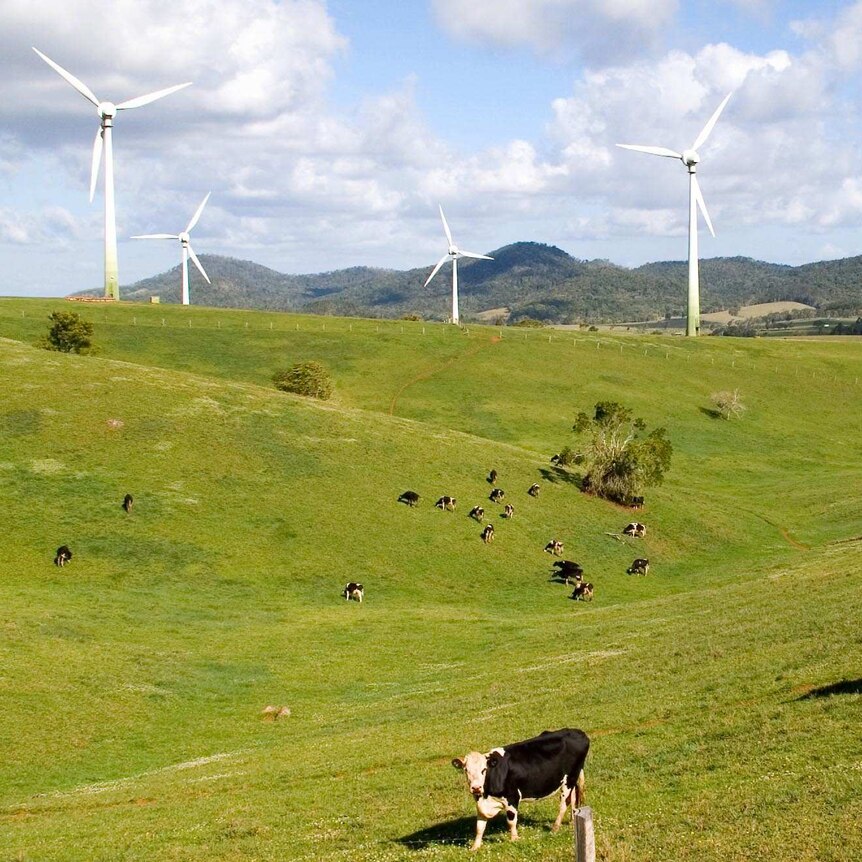 The Windy Hill wind farm near Ravenshoe