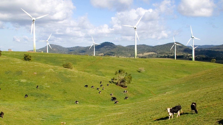 The Windy Hill wind farm near Ravenshoe in far north Queensland.