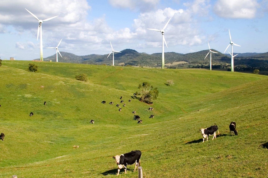 The Windy Hill wind farm near Ravenshoe in far north Queensland.