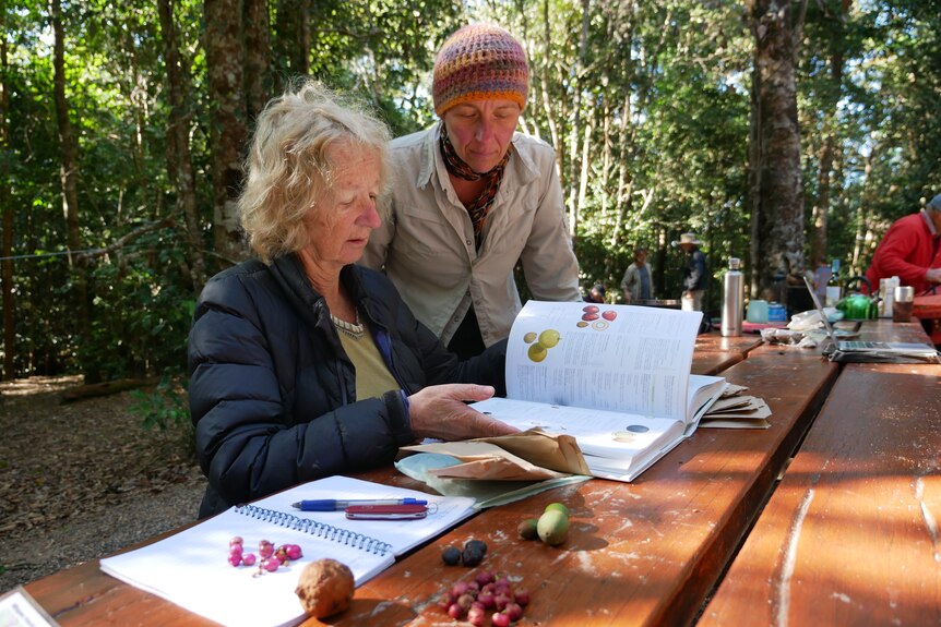 Two women, one standing, one sitting at table with fruit samples and look through a book,  one waers a beanie, forest behind.