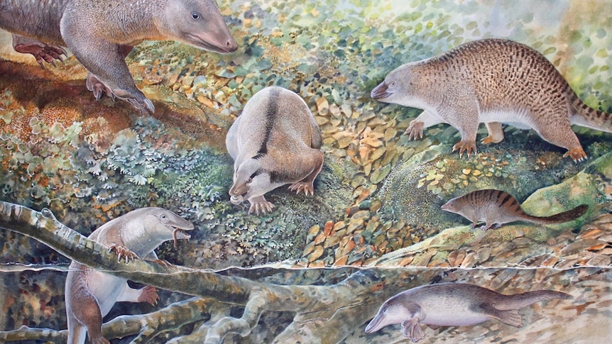 A painting of six prehistoric mammal like creatures that look like strange furry platypus of different sizes
