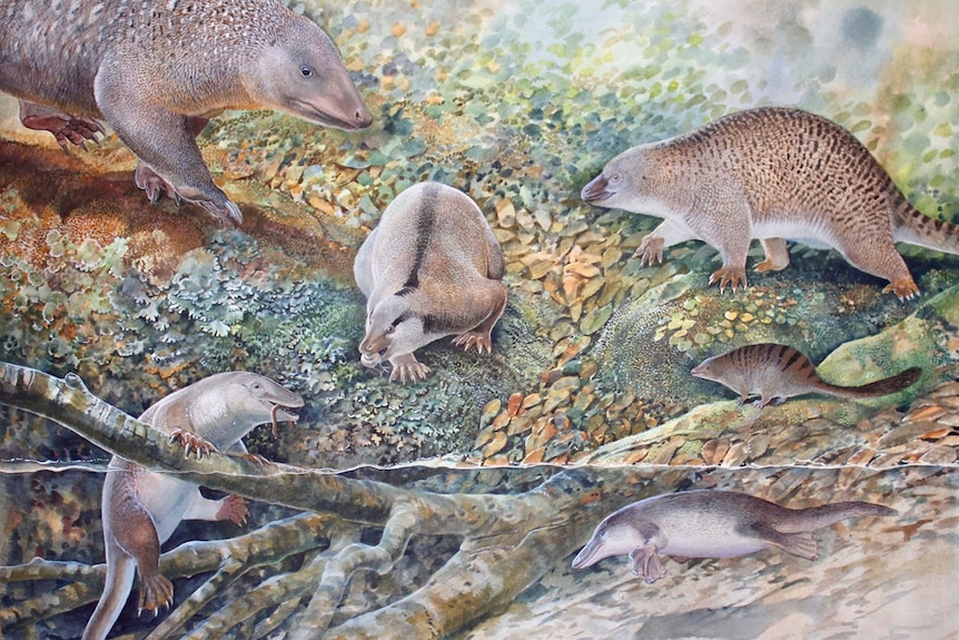 A painting of six prehistoric mammal like creatures that look like strange furry platypus of different sizes