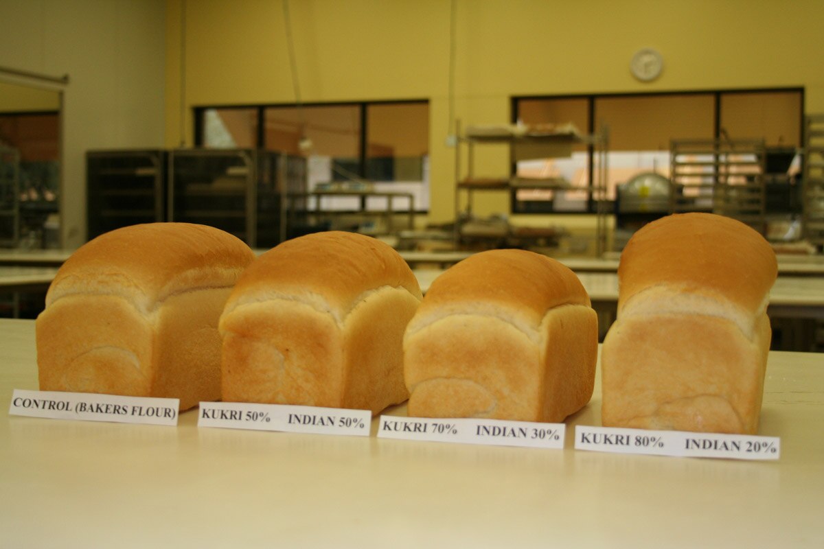 Flinders Ranges Premium Grain wins contract to trial flour products in ...