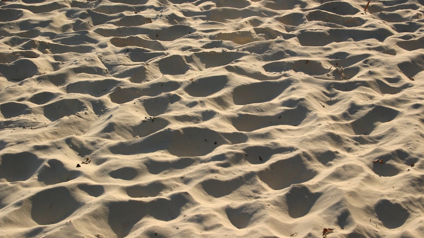 Close up of beach sand