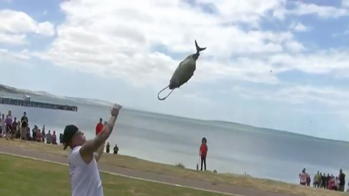 Port Lincoln tuna toss