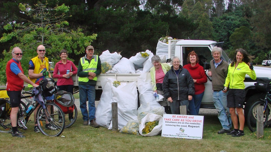 Ragwort Raid riders and other volunteers with several large bags of the weed in a ute at Myrtle Park.