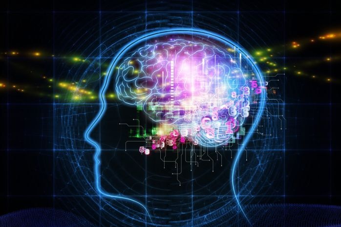 计算机制作的人脑图片