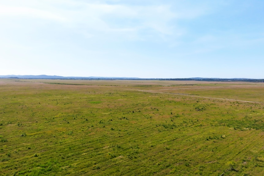Large grassy plain to horizon