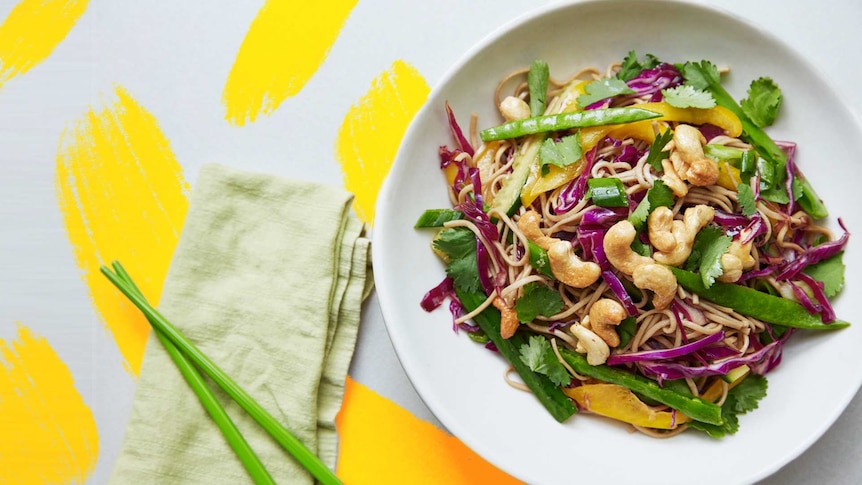 A plate of soba noodles with sliced red cabbage, snowpeas, capsicum and shallots mixed through. A healthy family dinner.