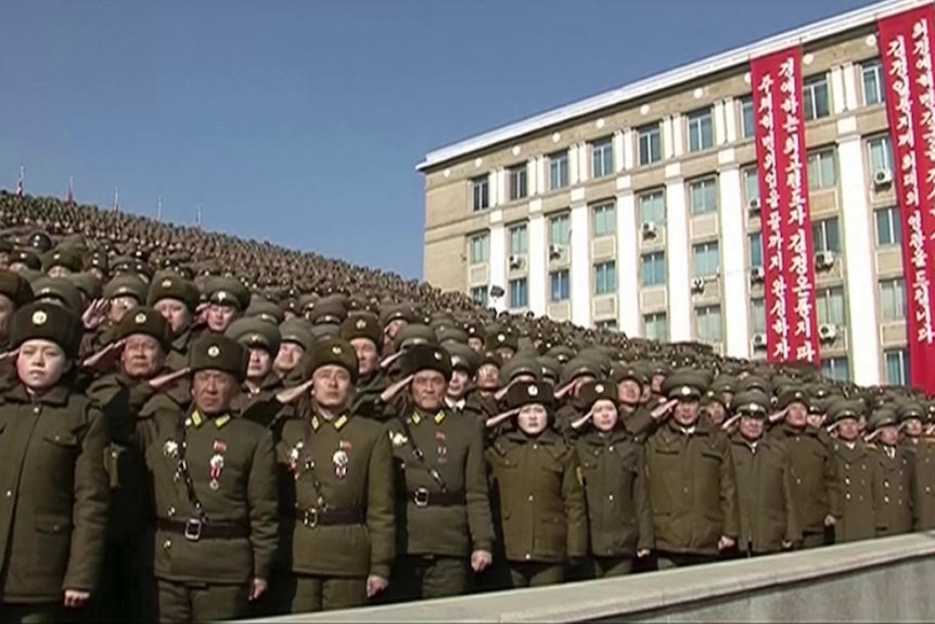 North Korean troops in a stand all salute together.