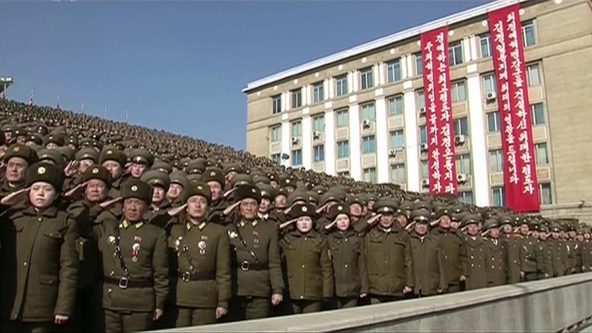 North Korean troops in a stand all salute together.