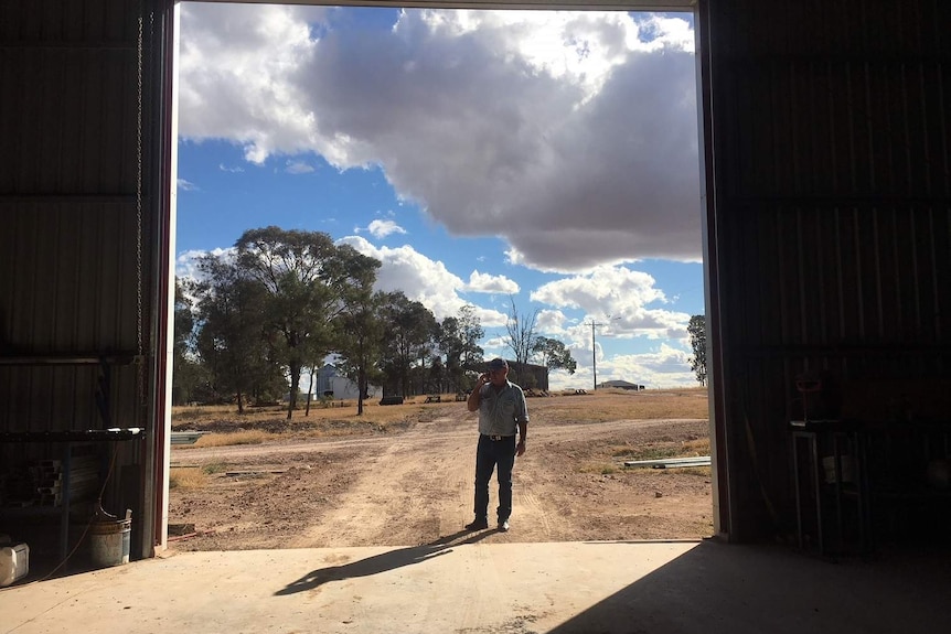 Looking through the opening of a large farm shed where an elderly farmer stands.