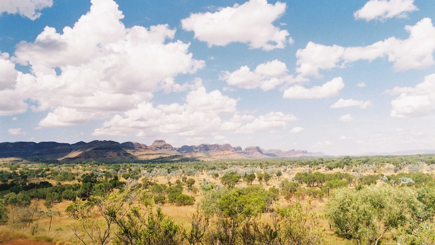 A view of mountains in the distance in the East Kimberleys