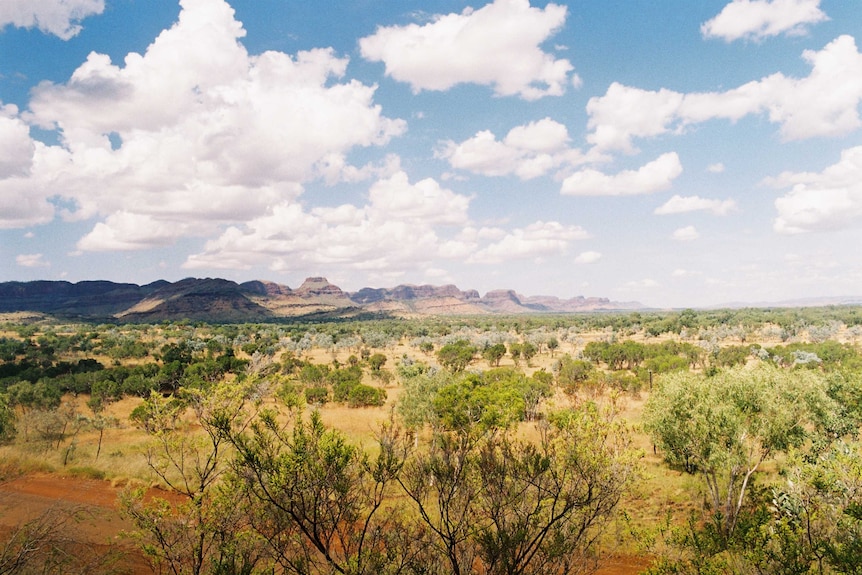 A view of mountains in the distance in the East Kimberleys