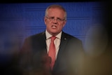 Morrison speaks with a pained look on his face