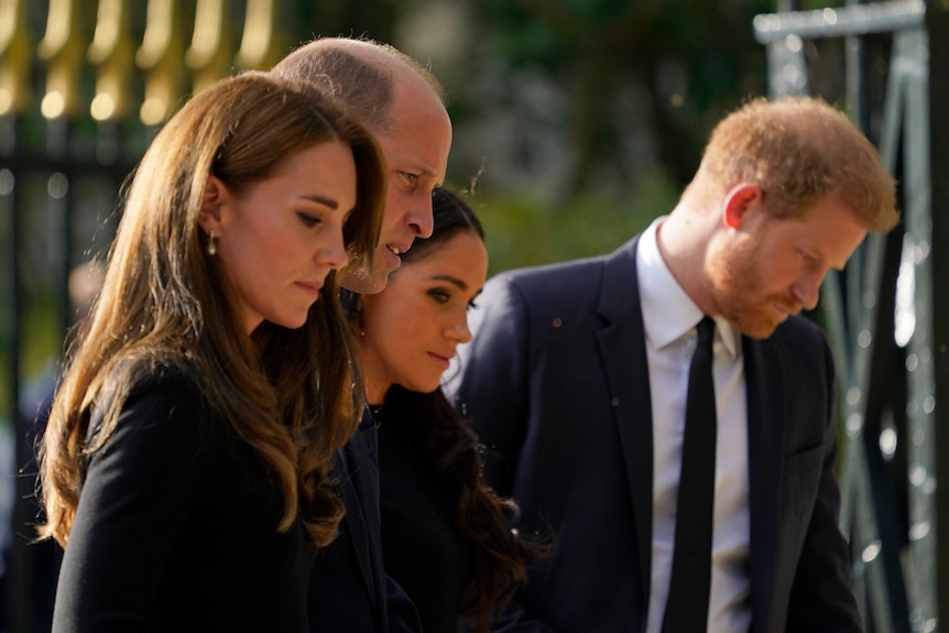 Kate looks at flowers 