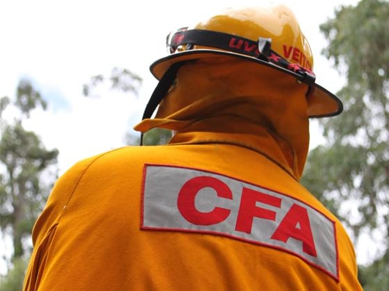 A person in a yellow CFA jacket stands in bushland with their back to the camera.