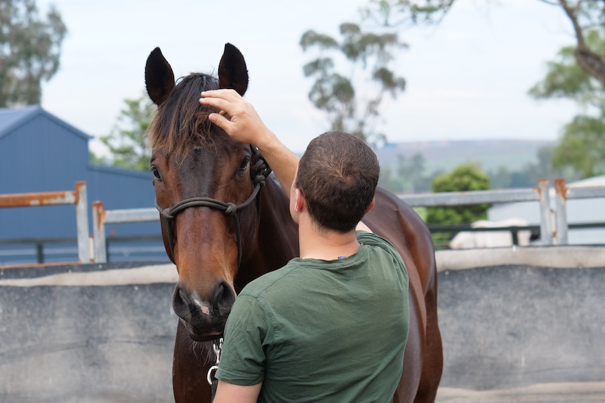 A man facing away from the camera pats a brown horse on the head