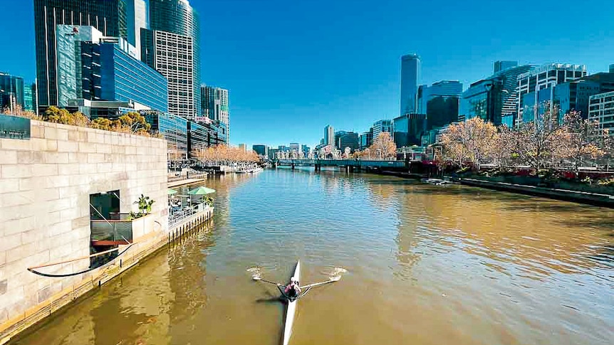 A rower on the Yarra River with Melbourne city in the background.