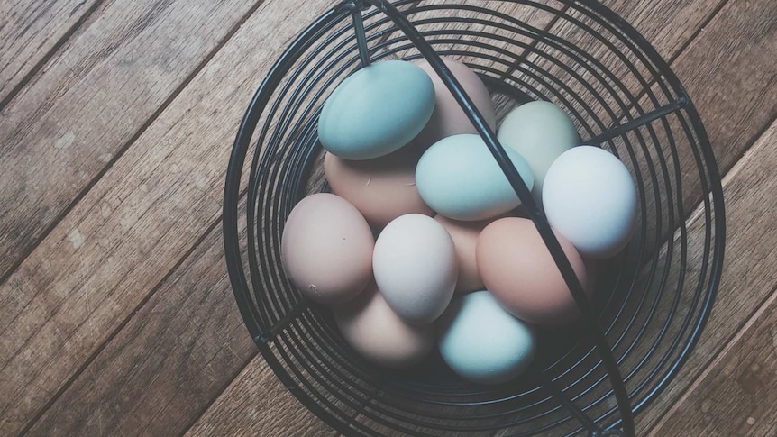 Pastel coloured eggs in a wire basket