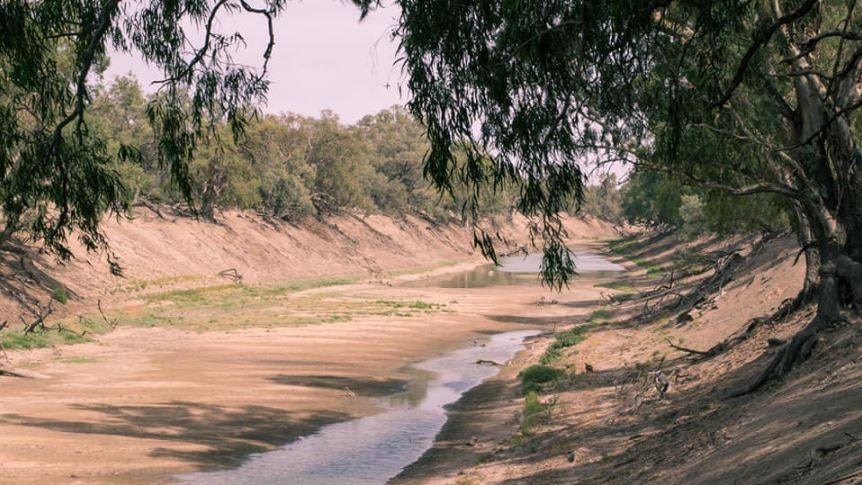 Photo shows a dry section of the Darling River near Bourke.