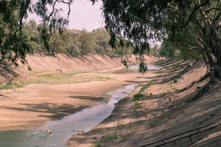 A dry section of the Darling River near Bourke