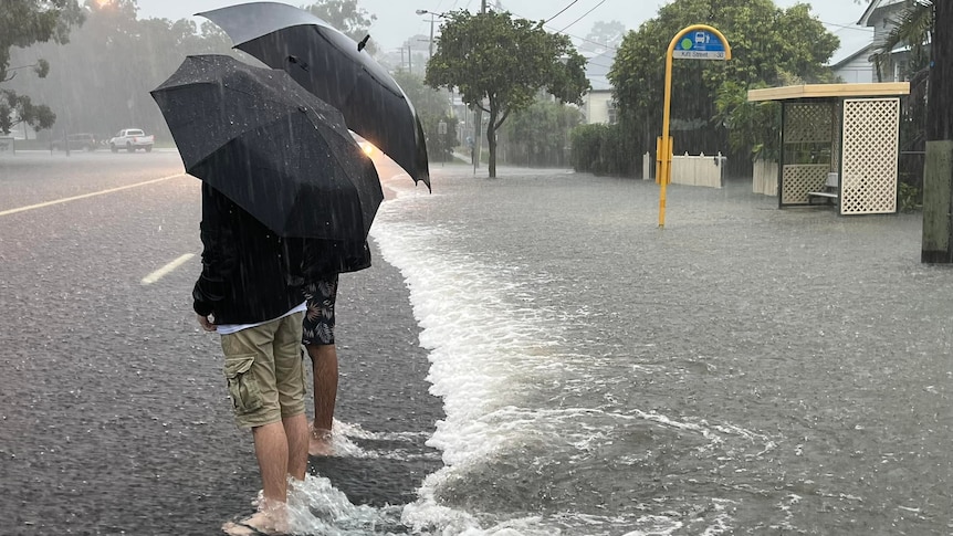 Two people stand under black umbrellas, with their pants rolled up as the road floods under heavy rain. 