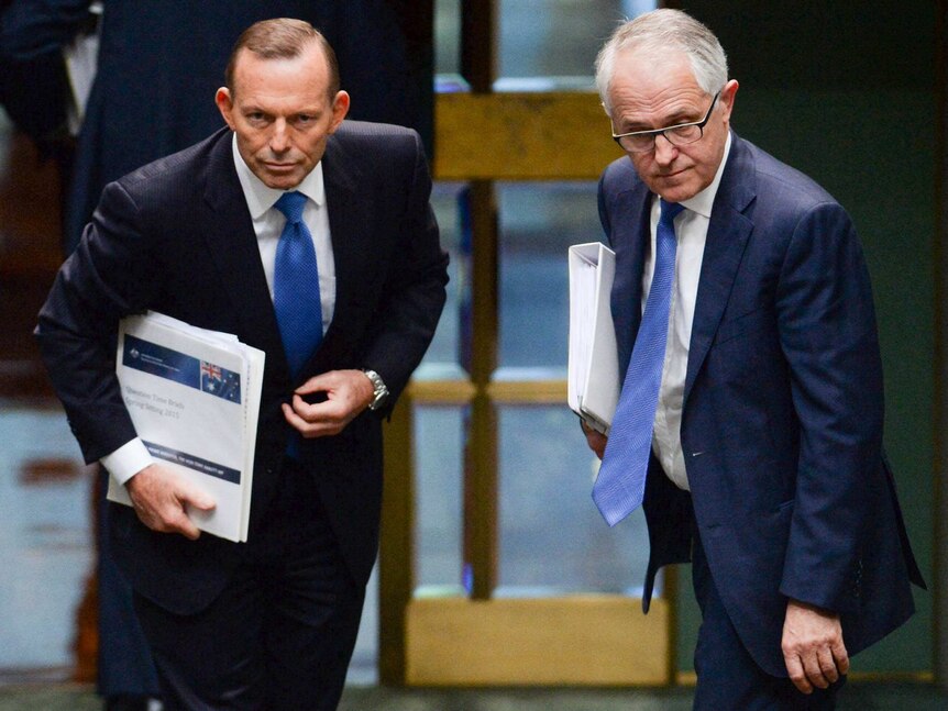 Tony Abbott turning up pressure on Malcolm Turnbull over Newspoll ...
