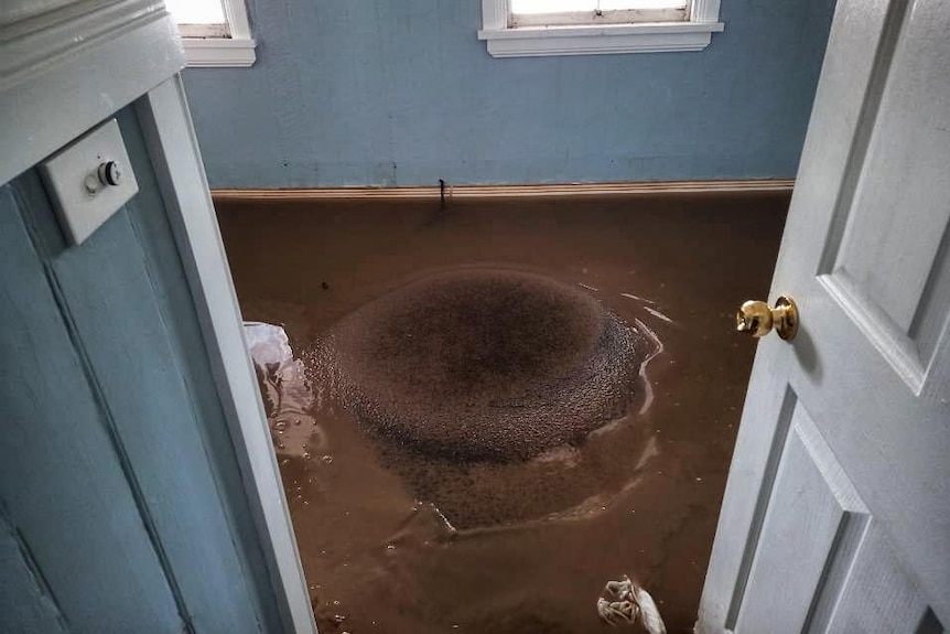 Muddy water on the floor of a home, picture taken looking through a doorway.