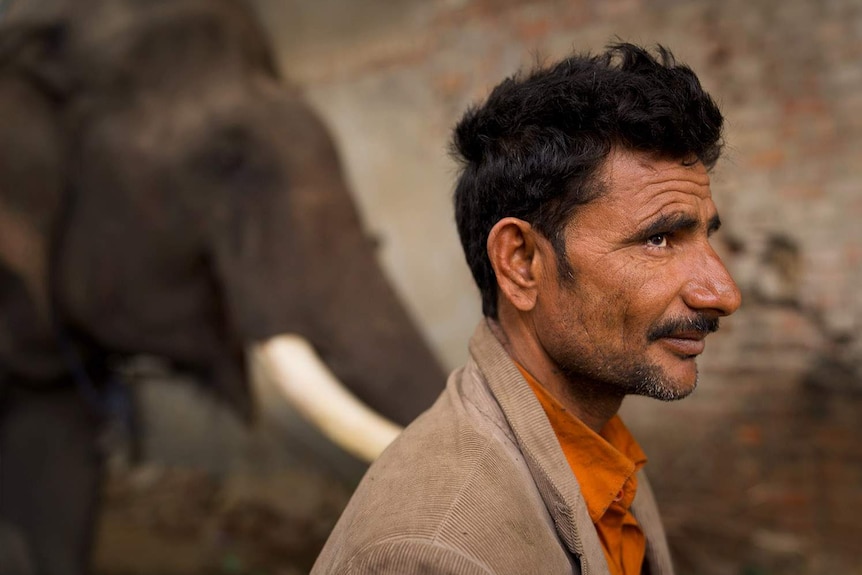 A close up of elephant keeper Makut Yadav looking up, with the elephant in the background.