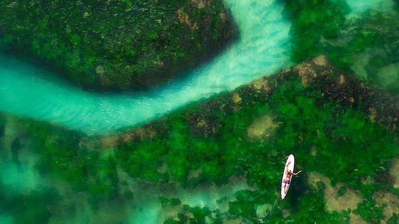 A drone photo of a surfer paddling across turquoise waters on a long board.