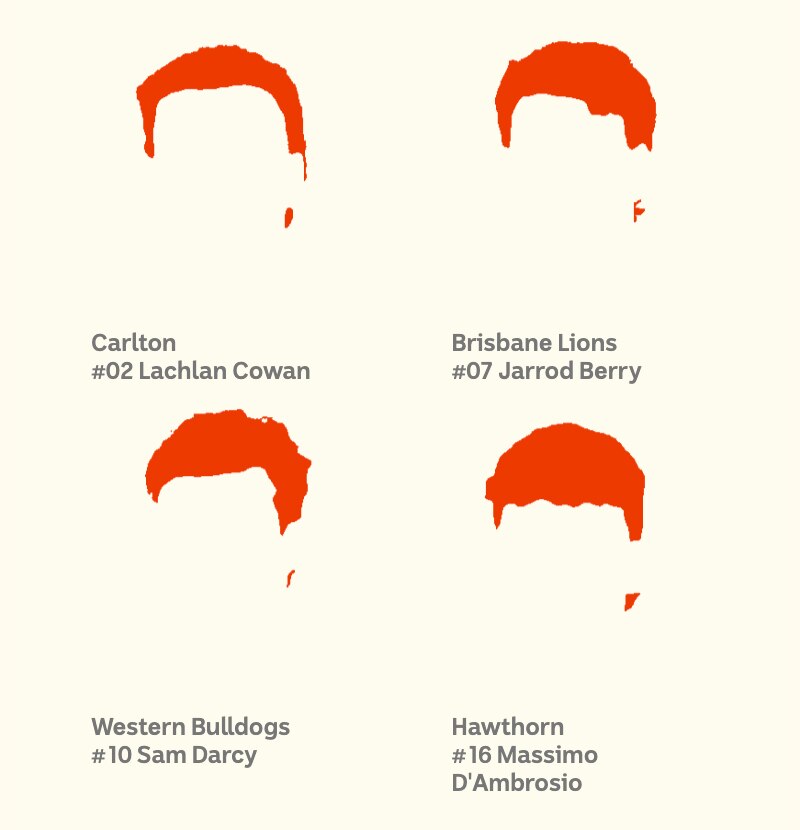 Silhouettes of less obvious mullet shapes