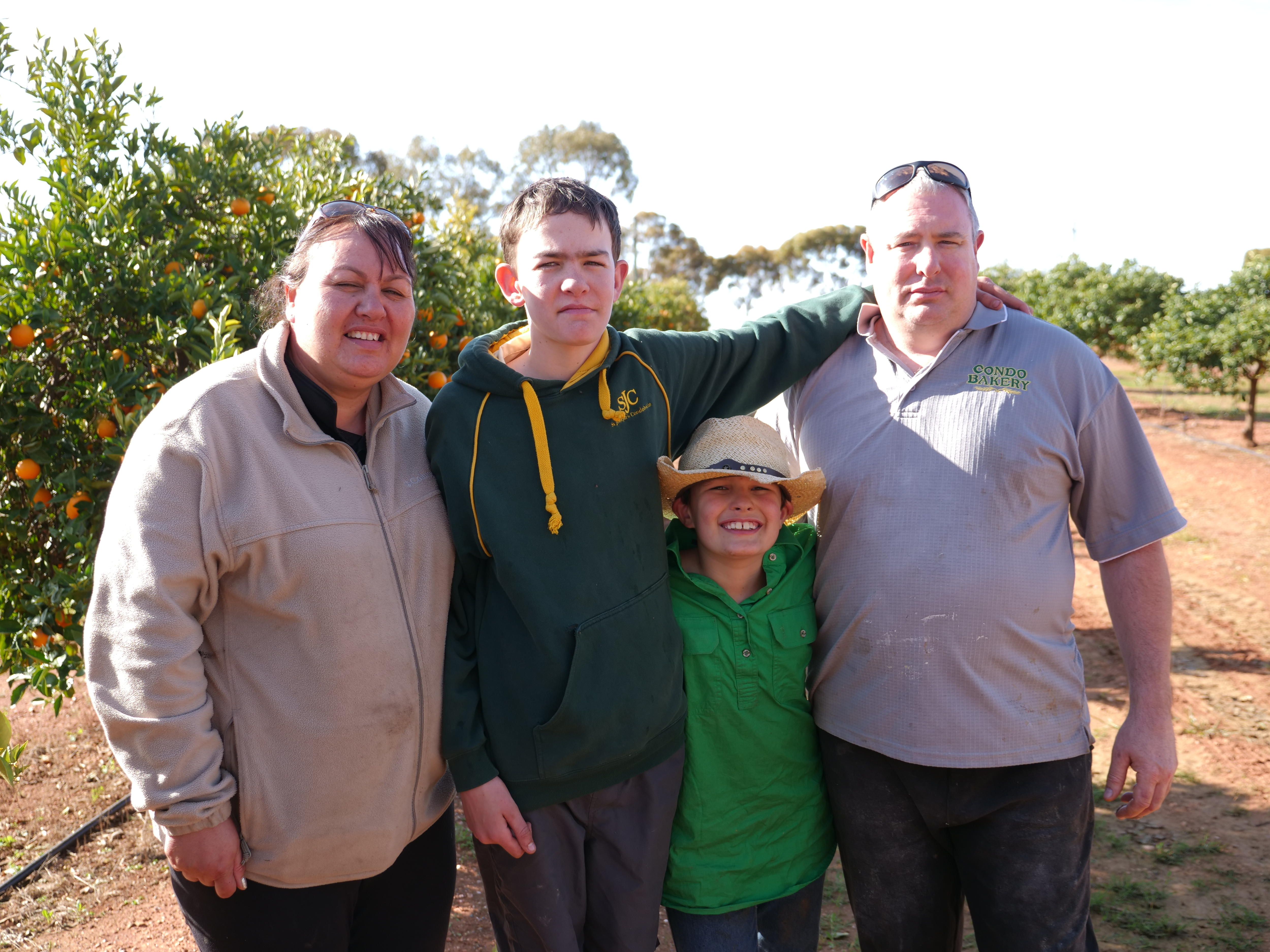 Age proves no barrier as brothers Jack and Joe turn Condobolin farm's orchard into orange juice