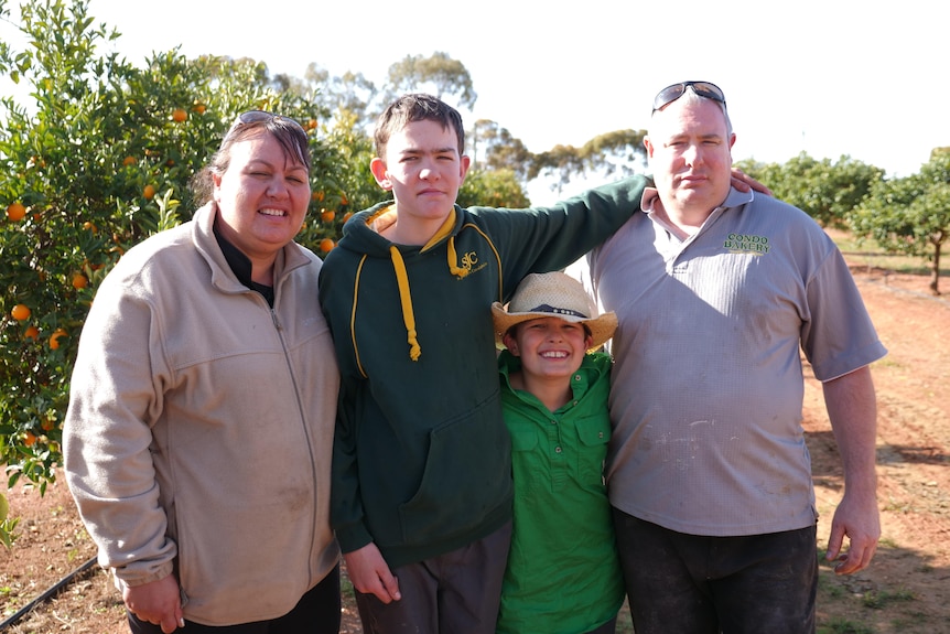 A young family standing in front of some orange trees 