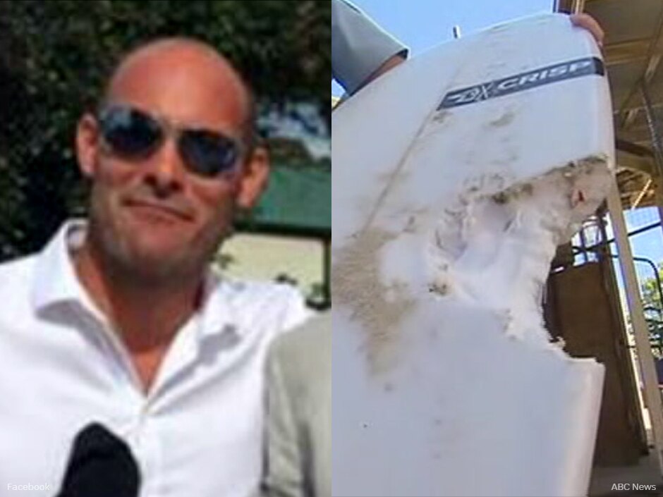 Byron Bay shark attack leaves surfer in hospital and beaches closed