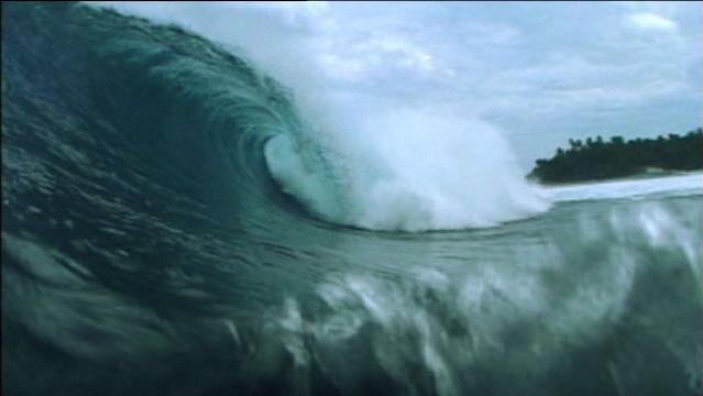 A wave breaks in the ocean